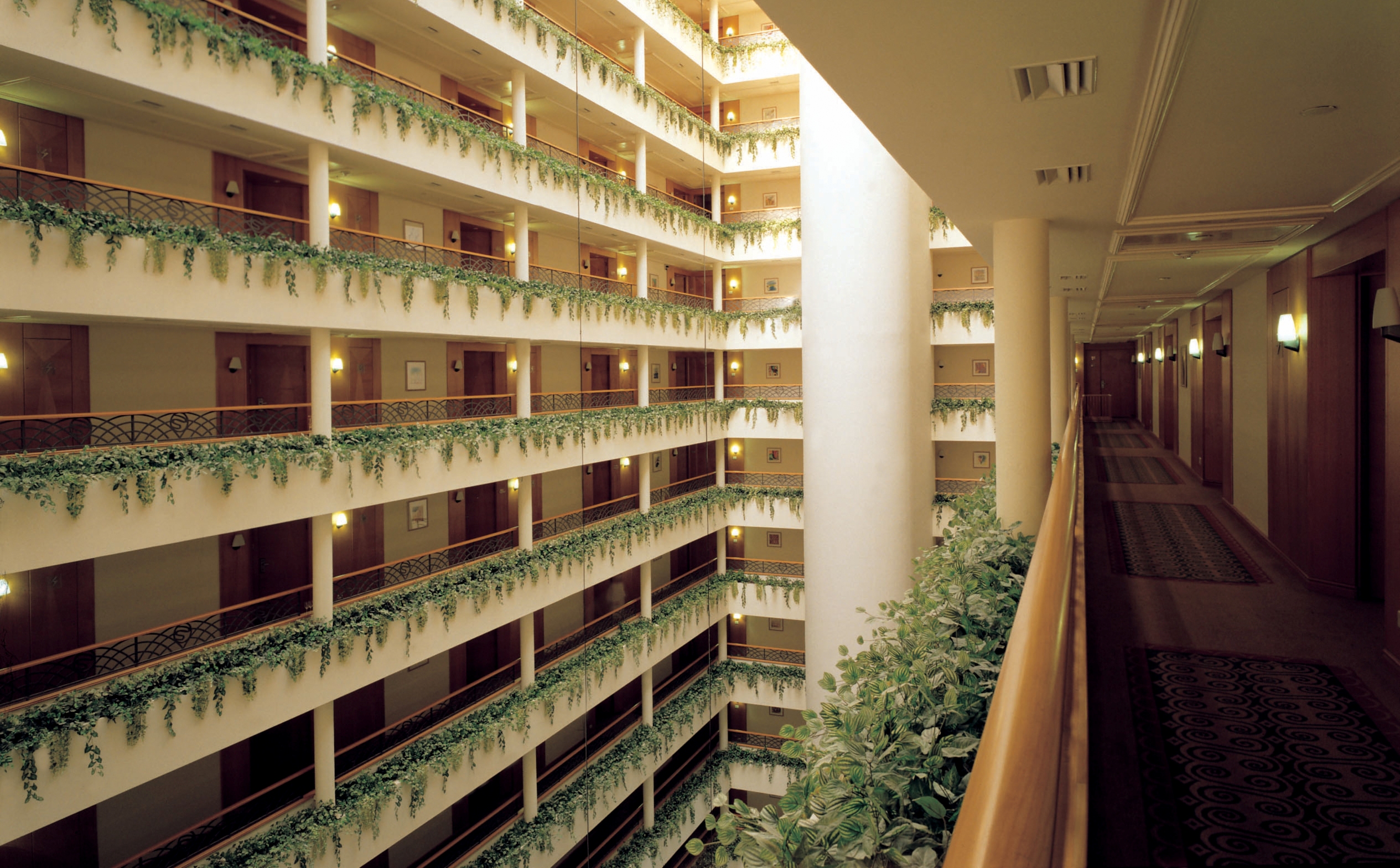 גאלרי ספא - דיוויד ים המלח